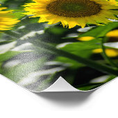Fotoafdruk - Het Zonnebloemveld Foto Afdruk (Hoek)