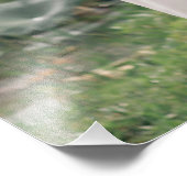 Fotoafdruk op posterformaat - op maat gemaakt groo foto afdruk (Hoek)