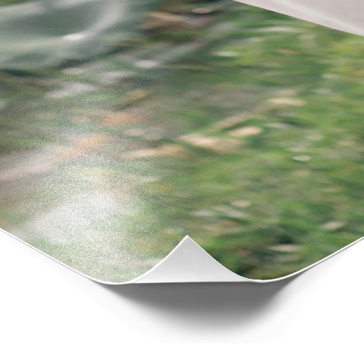 Fotoafdruk op posterformaat - op maat gemaakt groo foto afdruk (Hoek)