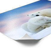Fotoafdruk van ijsberen foto afdruk (Hoek)