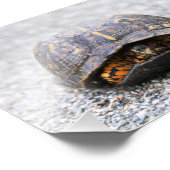 Fotoafdrukken draaien foto afdruk (Hoek)