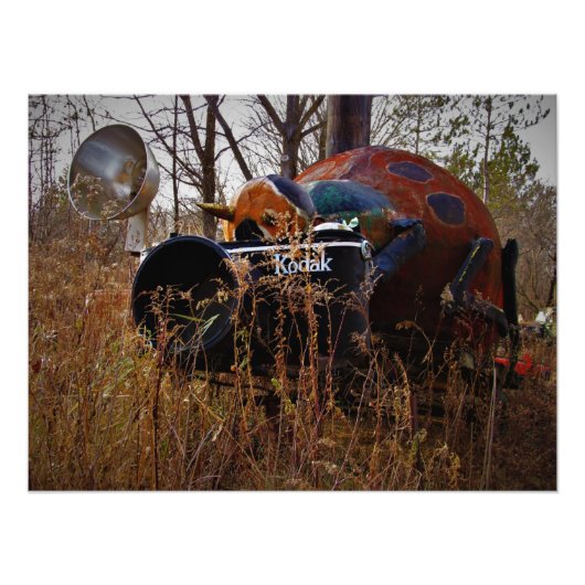 Fotoafdrukken "Lady Behind the Camera" Foto Afdruk (Voorkant)