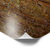 Fotoafdrukken "Lady Behind the Camera" Foto Afdruk (Hoek)