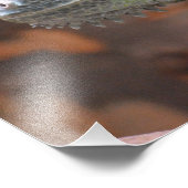 Fotoafdrukken met kleurrijke Iguana-hagedis Foto Afdruk (Hoek)