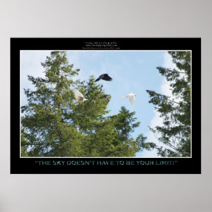 Fotoafdrukken of -Posters "GEEN GRENZEN" Poster