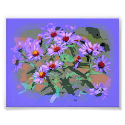 Fotoafdrukken paarse asters foto afdruk (Voorkant)
