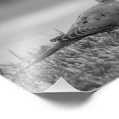 Fotoafdrukken van dove Bird Foto Afdruk (Hoek)