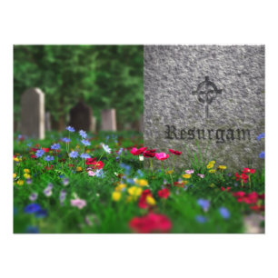 Fotoafdrukken van reurgam foto afdruk