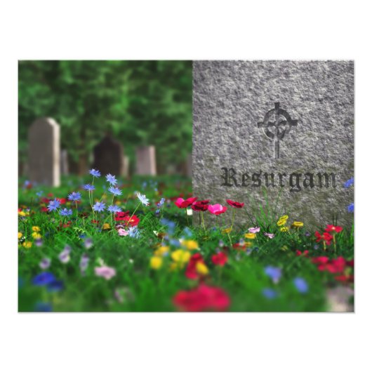 Fotoafdrukken van reurgam foto afdruk (Voorkant)