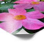 Fotoafdrukken voor roze ventiel foto afdruk (Hoek)