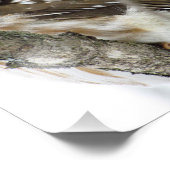 Fotoafdrukken voor sneeuw Owl Foto Afdruk (Hoek)