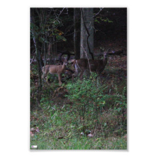 Fotoafdrukken voor vrienden foto afdruk