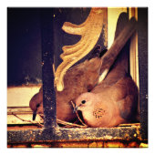 Fotoafdrukken voorbereiden foto afdruk (Voorkant)