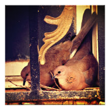 Fotoafdrukken voorbereiden