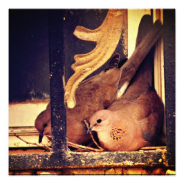 Fotoafdrukken voorbereiden foto afdruk