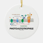 Fotoautotropfiele fotosynthese keramisch ornament (Voorkant)