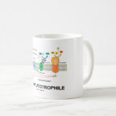 Fotoautotropfiele fotosynthese koffiemok (Voorkant rechts)