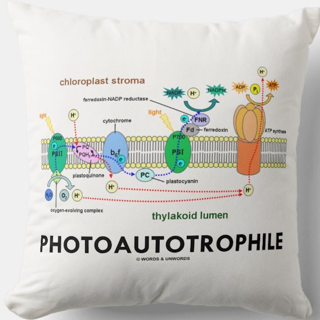 Fotoautotropfiele fotosynthese kussen (Throw pillow for any food producer)