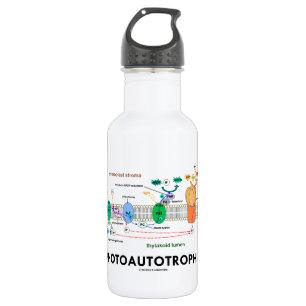 Fotoautotropfiele fotosynthese waterfles