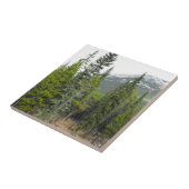 Fotobestand van de bos- en bergschild tegeltje (Zijkant)