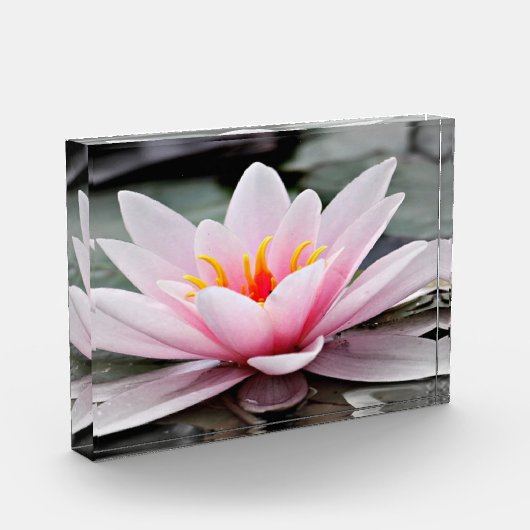 Fotoblok (Links)