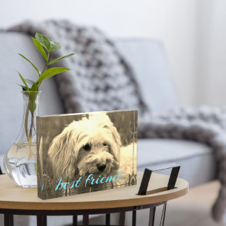 Fotoblok beste vriend hond