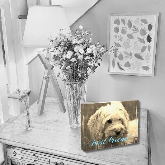 Fotoblok beste vriend hond