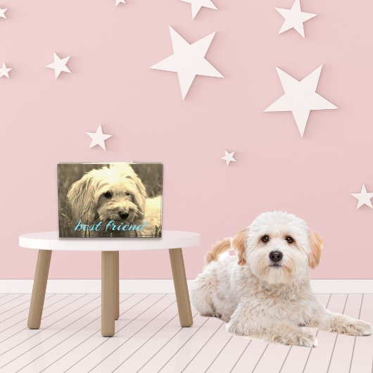 Fotoblok beste vriend hond