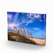 Fotoblok "Florida Zee Oats" (Rechts)