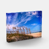 Fotoblok "Florida Zee Oats" (Links)