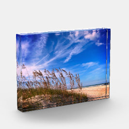 Fotoblok "Florida Zee Oats"