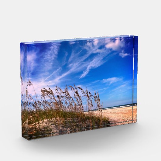 Fotoblok "Florida Zee Oats" (Links)