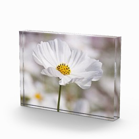 Fotoblok. Fotoblokken (Rechts)