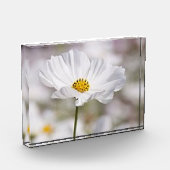 Fotoblok. Fotoblokken (Links)