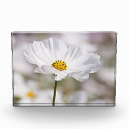 Fotoblok. Fotoblokken