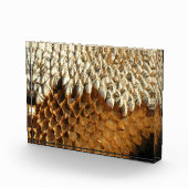 Fotoblok - Gedroogd zonnebloemhoofd (Rechts)