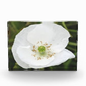 Fotoblok met bloemen (Voorkant)