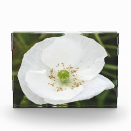 Fotoblok met bloemen