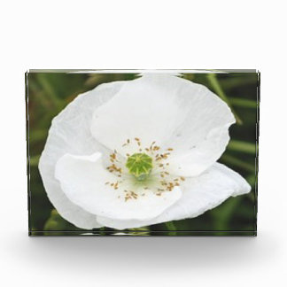 Fotoblok met bloemen