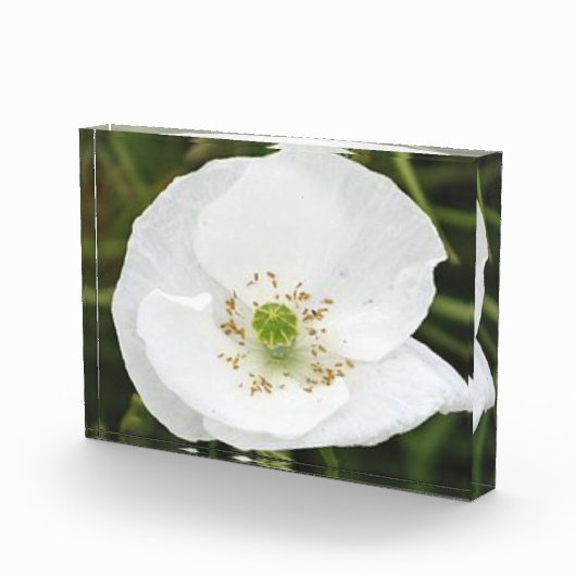 Fotoblok met bloemen (Rechts)