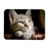 Fotoblok voor huisdieren magneet (Horizontaal)