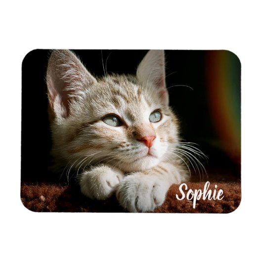 Fotoblok voor huisdieren magneet (Horizontaal)