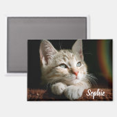 Fotoblok voor huisdieren magneet (Voorkant / Achterkant)