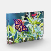 Fotoblokken voor monoarch Butterfly (Links)