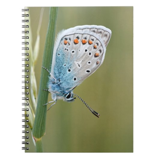 Fotoboek (80 pagina's zwart-wit) notitieboek (Voorkant)