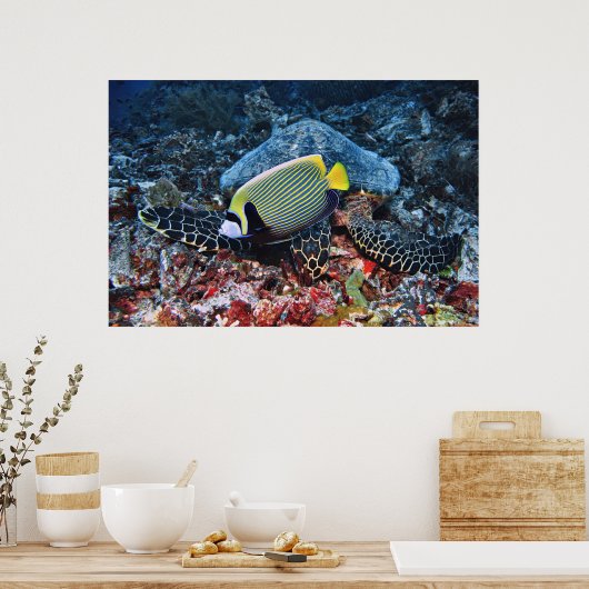 Fotobommenwerper Poster (Keuken)