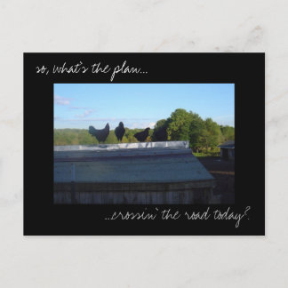 Fotobriefkaart "Chicken Plans" Briefkaart