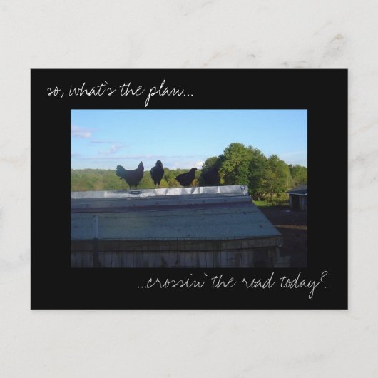 Fotobriefkaart "Chicken Plans" Briefkaart (Voorkant)