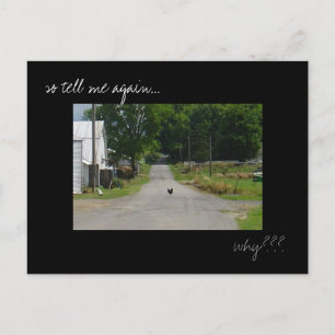 Fotobriefkaart van de "Chicken Crossing Road" Briefkaart