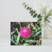 Fotobriefkaart van Fuchsia flower Briefkaart (Staand voorkant)